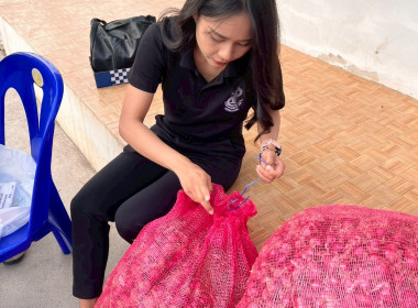 สำนักงานสหกรณ์จังหวัดหนองคายกระจายหอมแดง(ปึ๋ง) ... พารามิเตอร์รูปภาพ 30